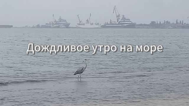 Дождливое утро на море