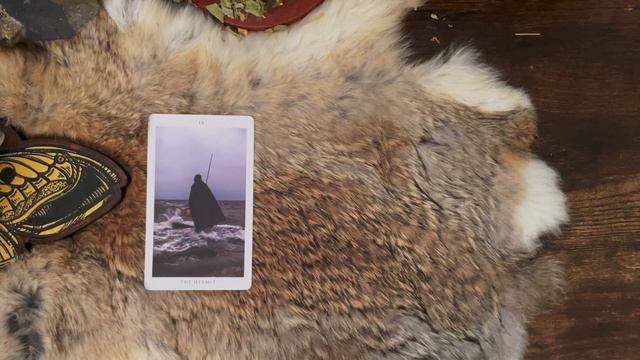 Tarot & Bibliomancy in Practice. A rare share from my exclusive patreon archive.