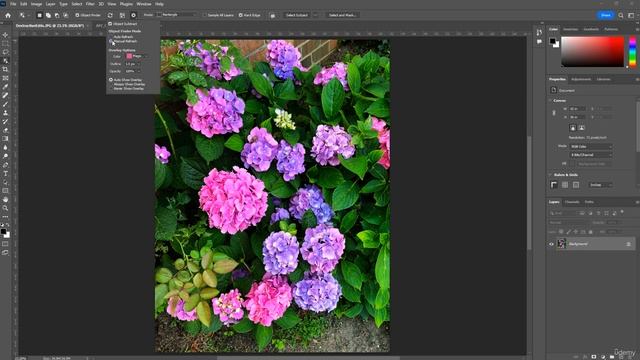 6  How to Use the Object Selection Tool in Photoshop