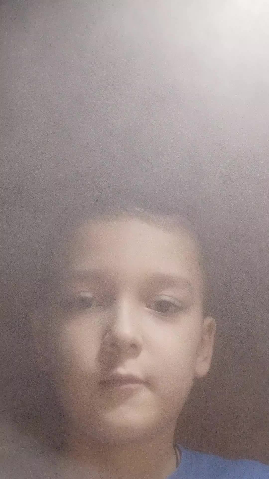 у меня муравьи
