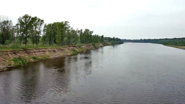 Деревня. Звуки природы: Птицы. Tascam X8: birds.