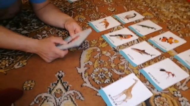 Развивающие игры. Развивающие карточки. Животный мир. Умные карточки.