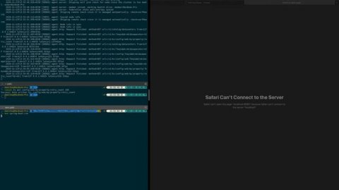 consul watch spring boot demo