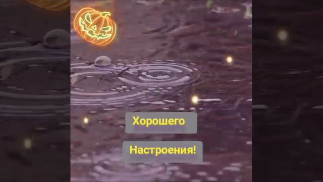 YouCut_20240903_064311455.mp4Сеова 3 сентября,  Барнаул