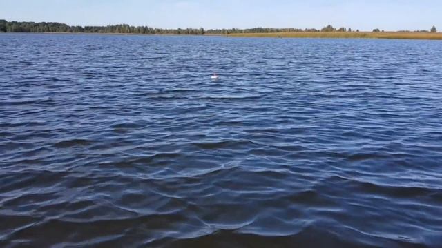 Муж на рыбалку  а жена за грибами . У кого в конце дня будет больше добыча ?