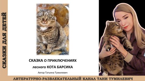 "Сказка о приключениях лесного кота Барсика" Автор - Татьяна Тумилевич.