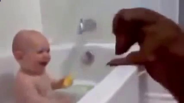 ребенок в ванной играет с таксой