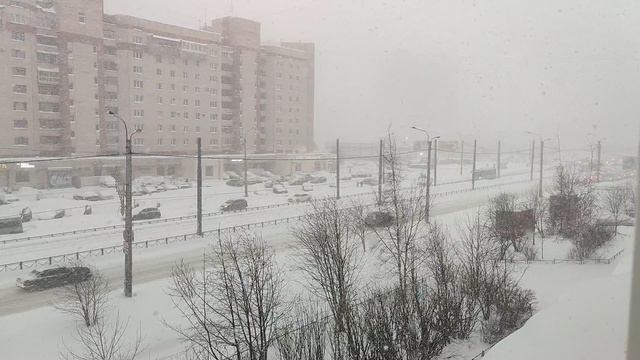 Снег в Петербурге VID_20240119_154138
