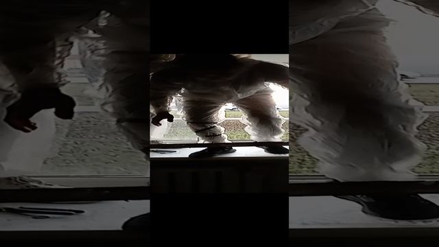 VID_20231020_171712.mp4