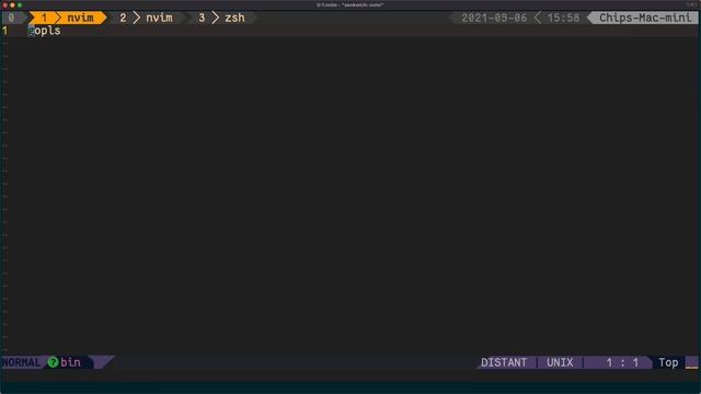 Editing files and running LSP servers on a remote machine