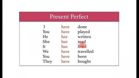6 класс урок грамматики Present Perfect