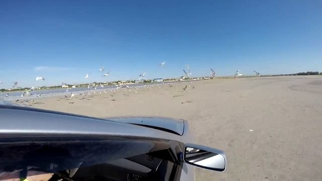 КРЫМ 2016 Crimea Video