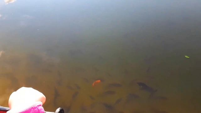 В НЕКОТОРОМ ЦАРСТВЕ