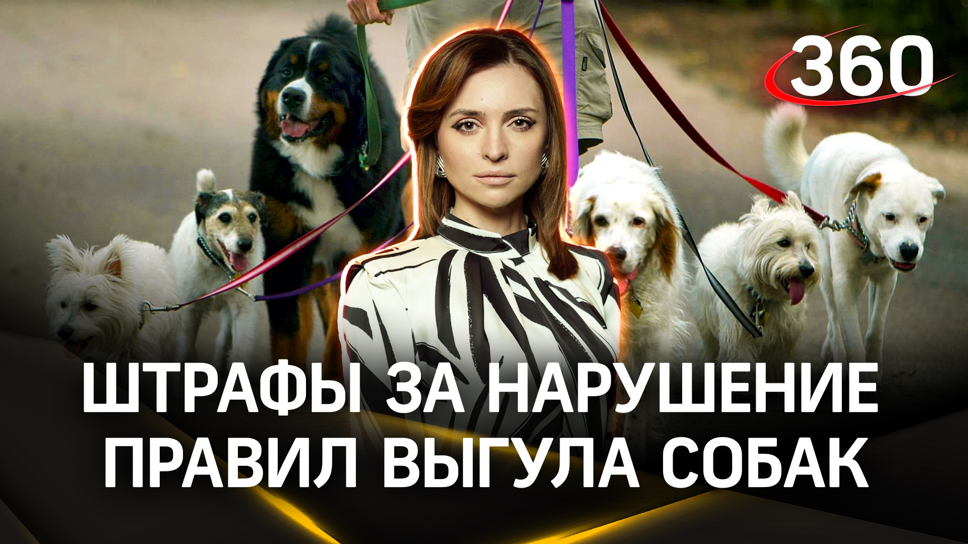 Ни лает, ни кусает: в Госдуме планируют ввести штрафы за нарушение правил выгула собак | Малашенко
