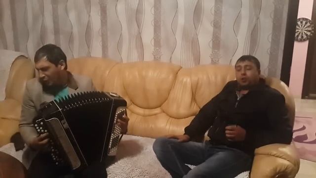 Gypsy-Верба.
