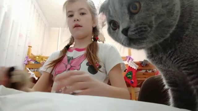 Собираемся к бабушке)))
