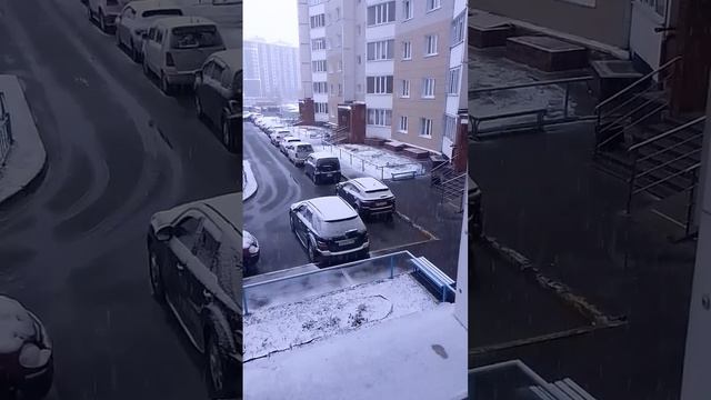 Майский снег в Сургуте