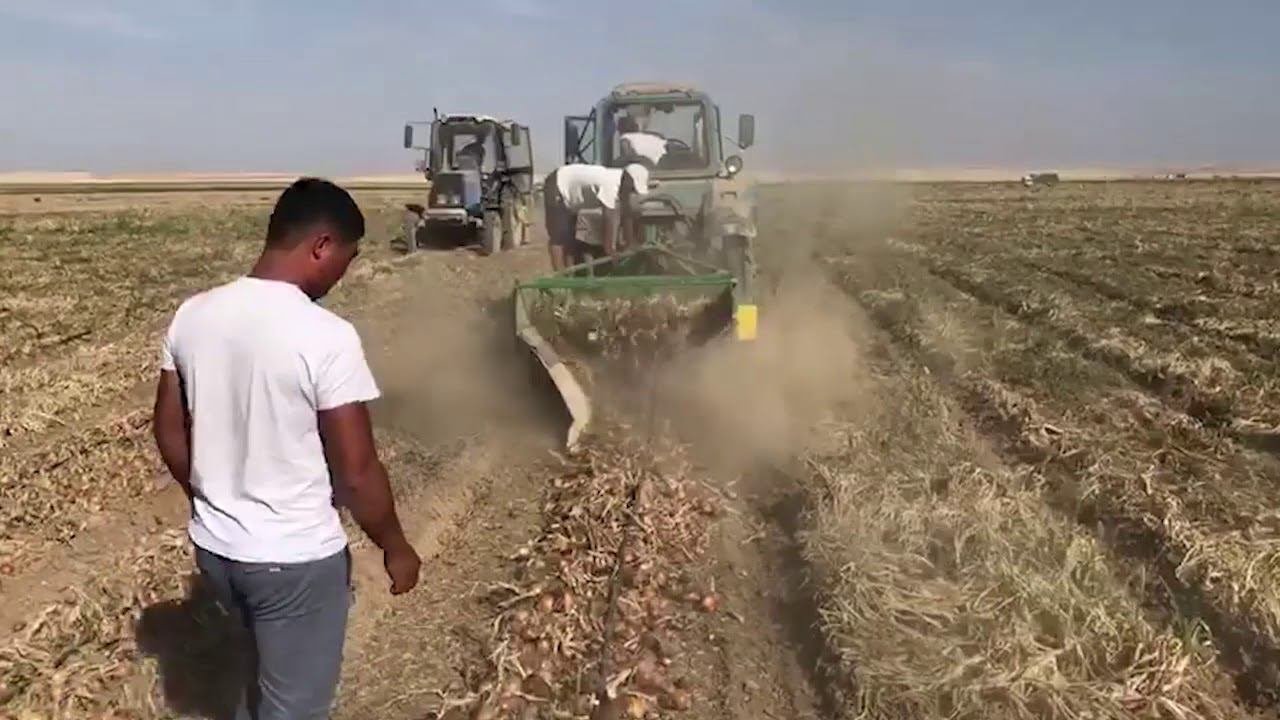 Сделано в России: овощная техника НАИР