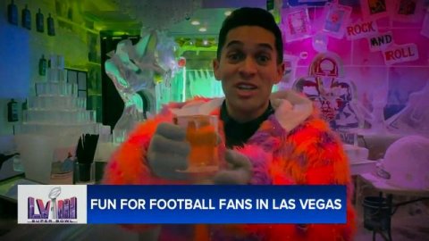 Here's a look inside Las Vegas bar made up of ice, giving Super Bowl fans a 'cool' experience