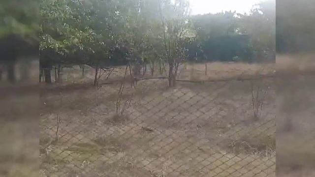 продается участок в живописном 4 сотки вода электричество.
