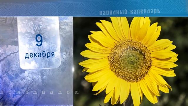 9 Декабря - Ежедневный Народный Календарь