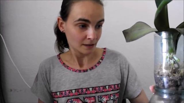 Наращивание корней часть 4 РЕЗУЛЬТАТЫ