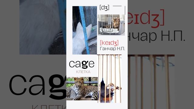 Английский язык. 3-4 классы. Читаем легко и весело. G1 [dʒ]. Learning to read in English