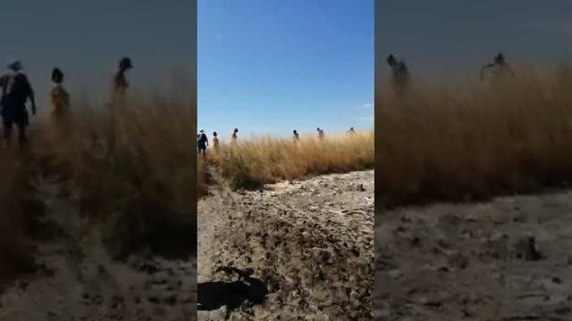 Болгария! Bulgaria! Поморье! Грязи лечебные!