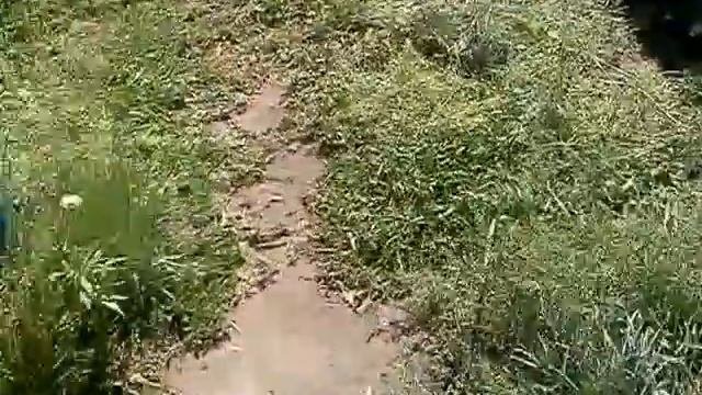 плитка тратуарная льём сами