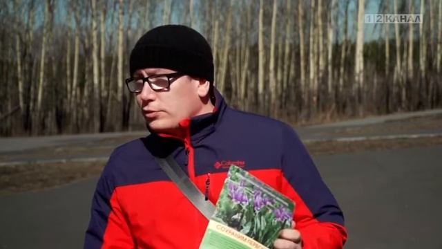 Какие штрафы предусмотрены за растения, занесенные в «Красную книгу»