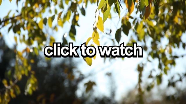 How To Lucid Dream Tonight In 5 Steps (Updated WILD Tutorial)