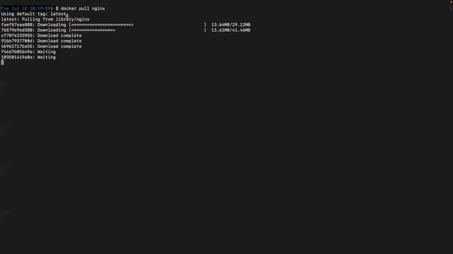 Deploying multiple NGINX webservers on Docker