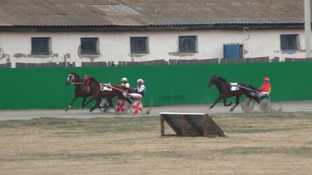 Приз В честь работников сельского хозяйства  Для лошадей рысистых пород 3-х лет, дист. 1600 м