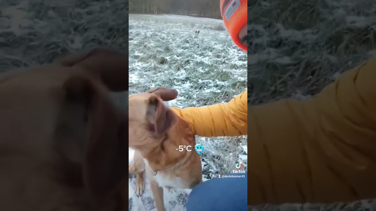 Вот такой вариант песни