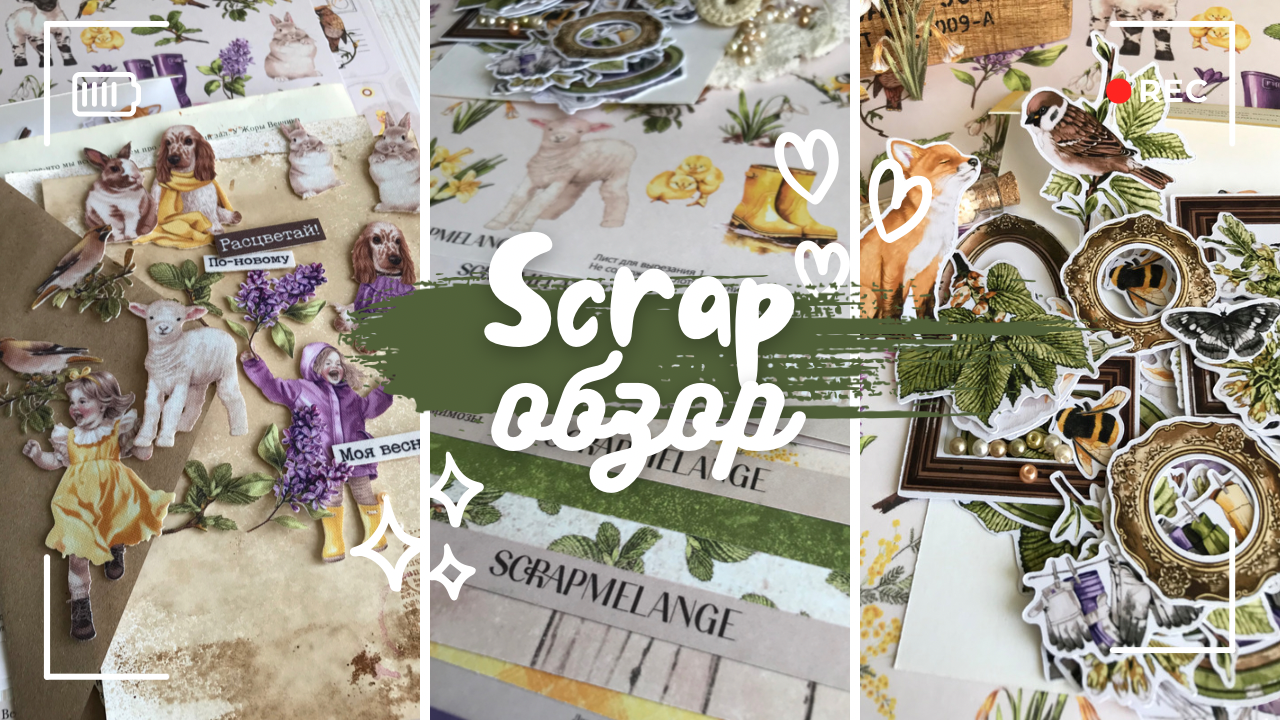 Распаковка подарка от ScrapMelange Studio / Скрапбукинг