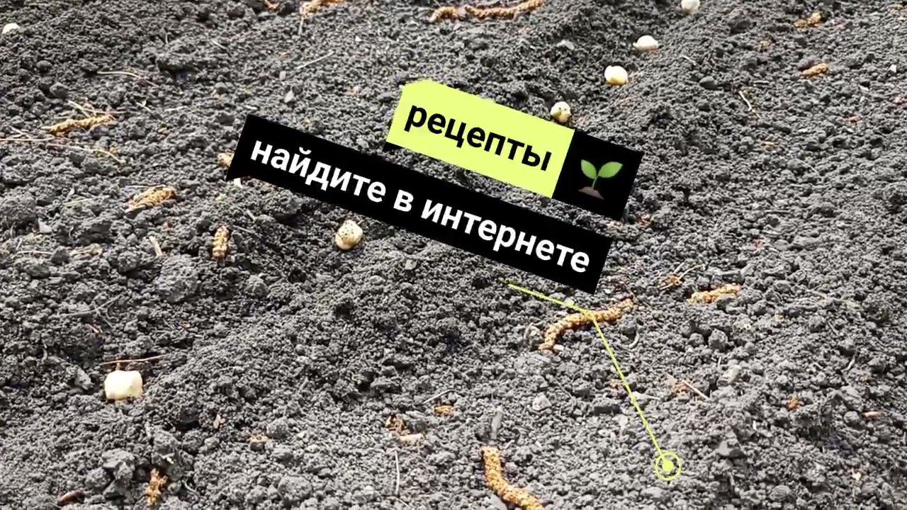 Огородные дела и ткачество!