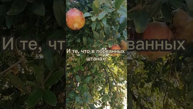 Мы все у Бога на ладони