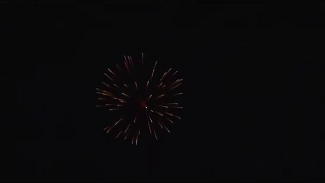 С4016 Синяя хризантема