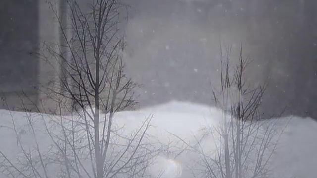 Настроение недели на 220219