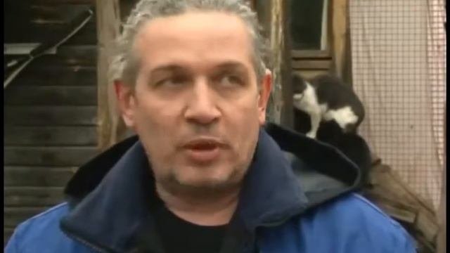 Как содержать бездомных собак в приюте