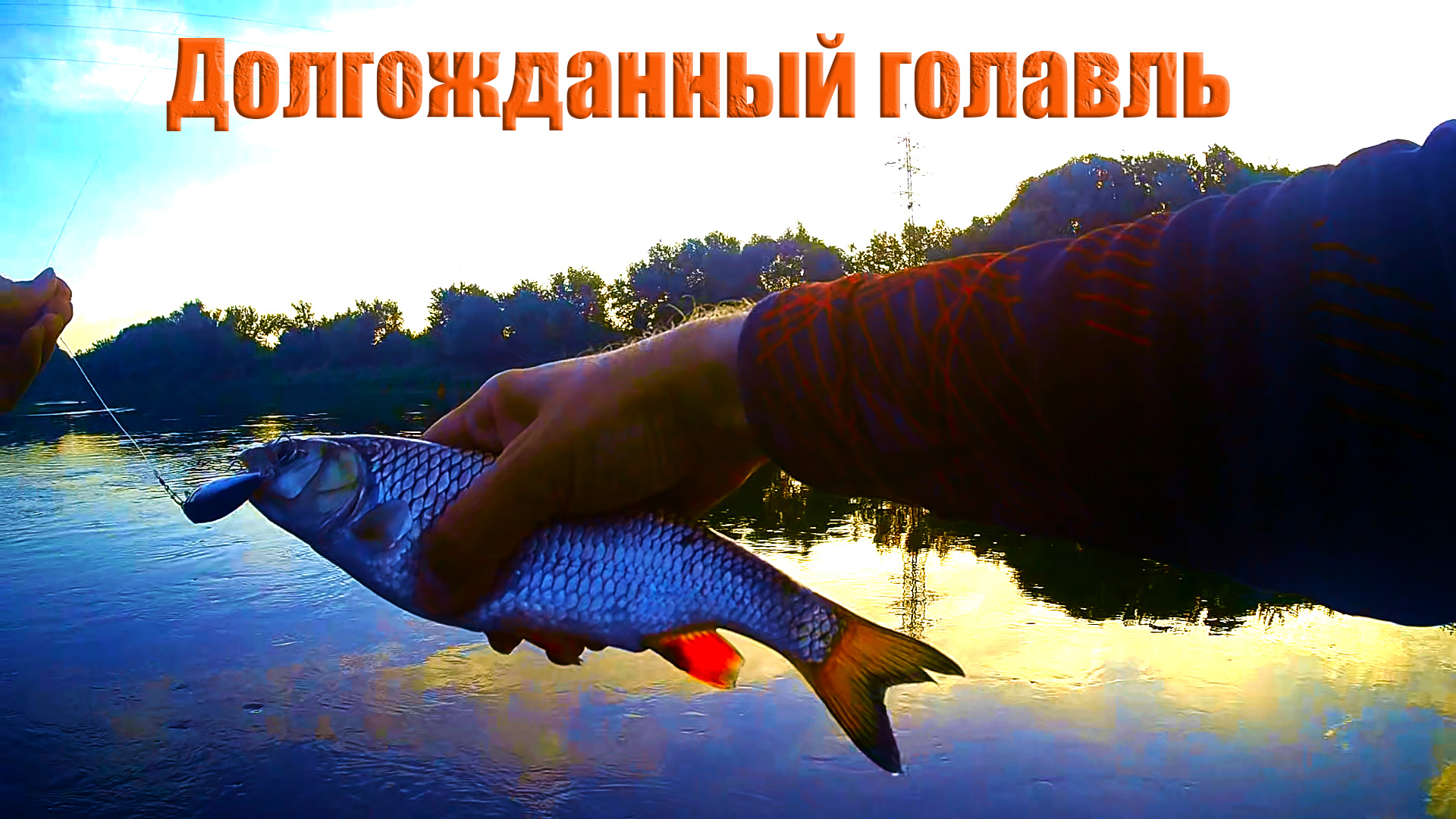 Долгожданное открытие по головлю. #голавльнаспиннинг