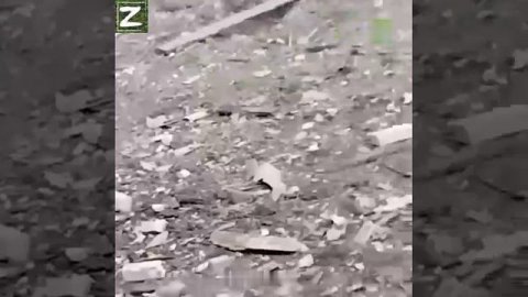 Видео с попавшим в плен вэсэушником в Новомихайловке (ДНР), где морпехи ТОФ выдавливают противника