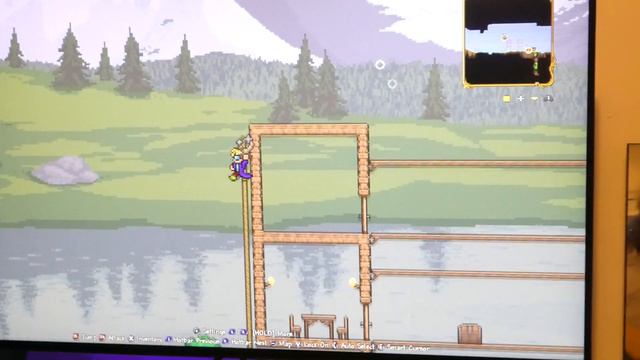 Flynn playing Terraria on the nintendo switch