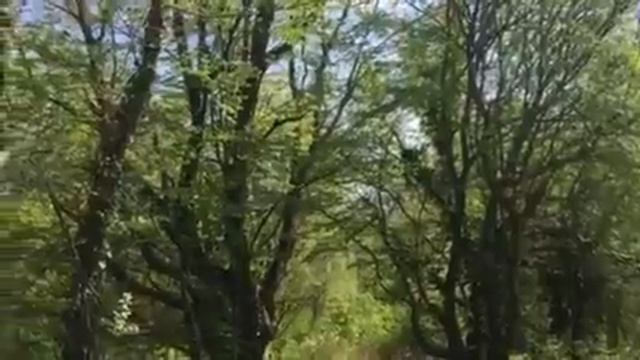 Джубга участок #60