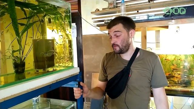 На что Костя потратил 500 от спонсора!