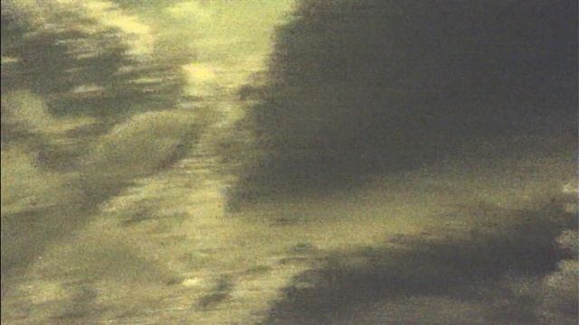 Волга.Подводная съёмка.Камера язь 52 окунь.