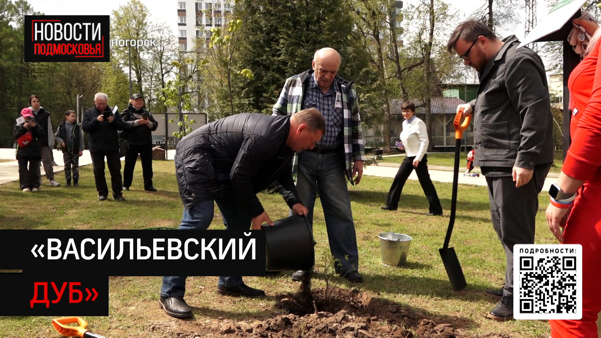 К 100-летию Бориса Васильева в Солнечногорске высадили именной дуб