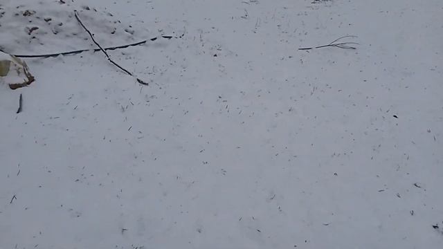 Опять зима, и работа на участке. Планы на весну.