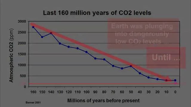 Чрезвычайной климатической ситуации нет, но дефицит CO2 вполне реален....