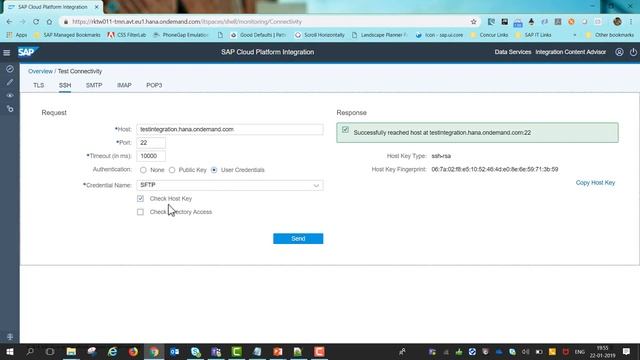 SAP Cloud Integration: Connectivity Tests